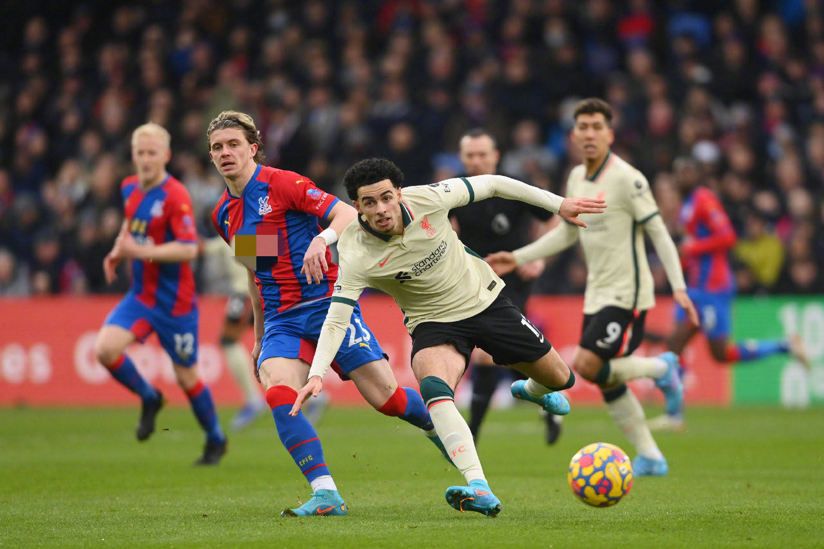 儘管文森特 儘管文森特